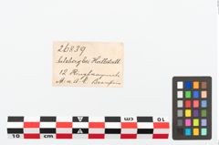 Etikett zu Bernsteinperle (NHMW-PRAE-026839)